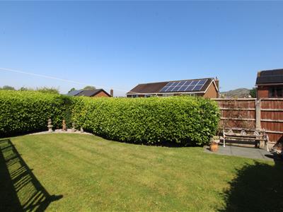 Picture 19